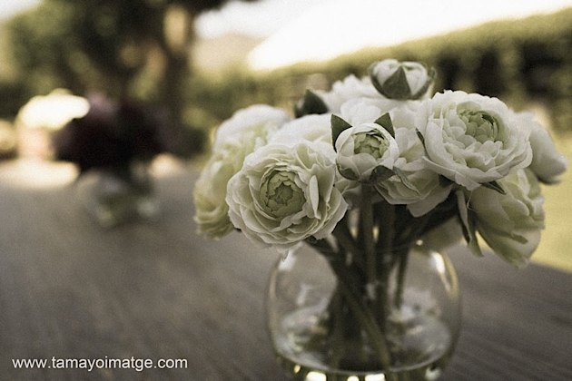Reportaje de Bodas de Jorge y Berta, Onda, Castellon, Mas de Lucía (33)