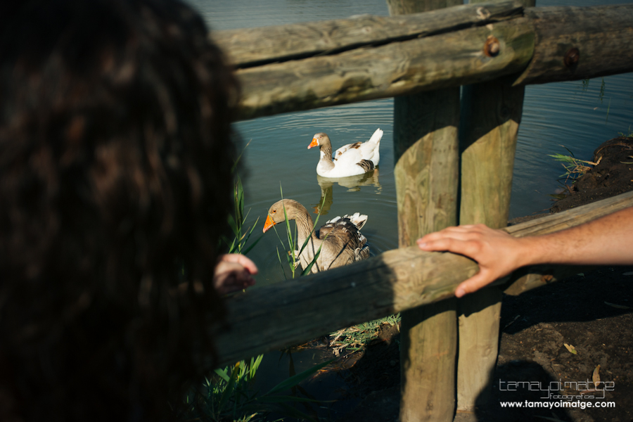 Fotos-Preboda-Adrian-Reyes-Nules-03