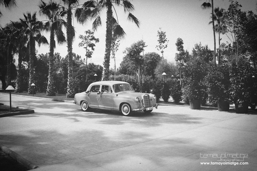 Boda en Más de Peñalen de Miguel e Inés.