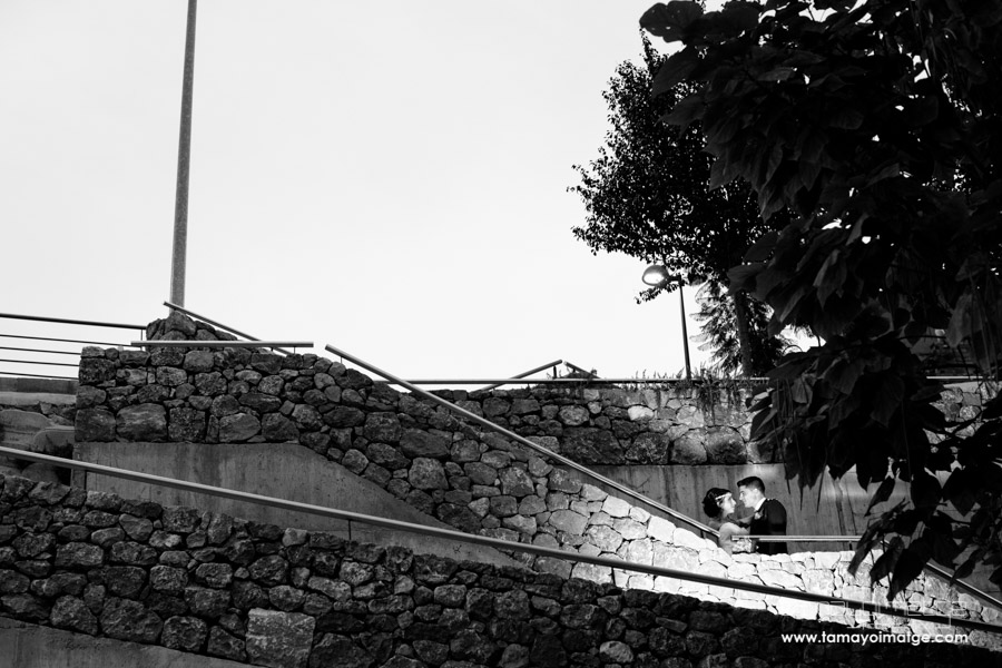 Tamayoimatge fotógrafos