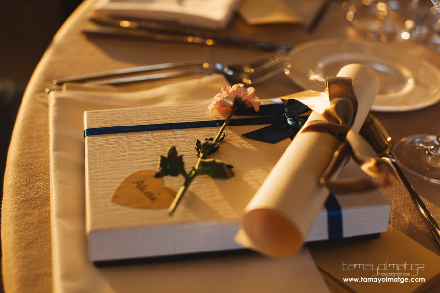 boda Aarón y María-1243